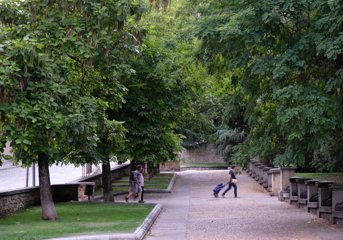 Los parques salmantinos que se convertirán en bibliotecas al aire libre